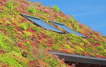 Wilgate Green living roof systems