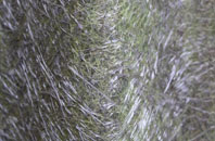 Wilgate Green fibreglass roof work